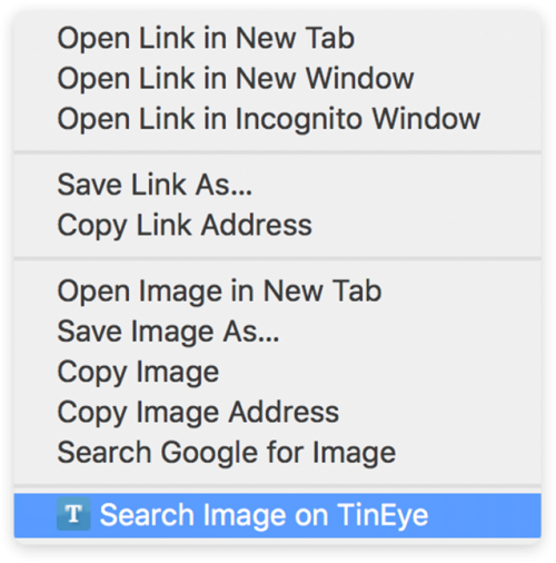 TinEye search extension