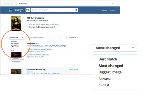 TinEye-search-ordering