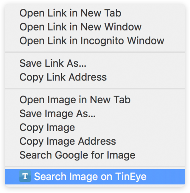 How To Use Tineye To Search For An Image Online Tineye Blog